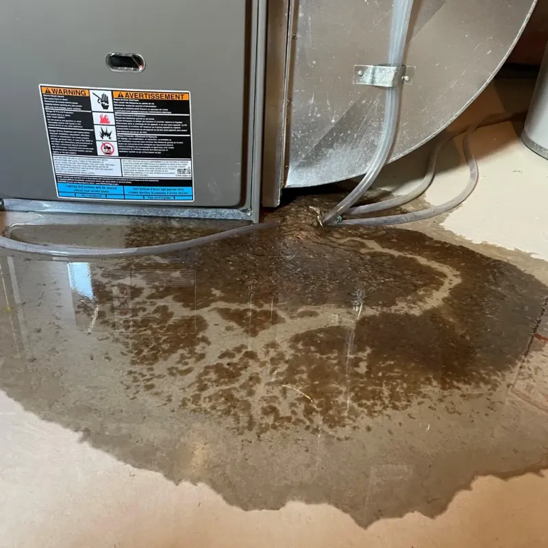 Appliance Leak Cleanup in City of Staunton, VA